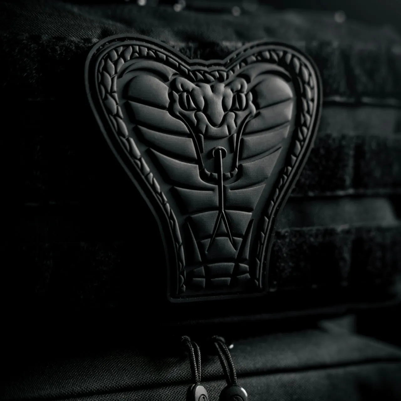 45L Backpack Black Venom